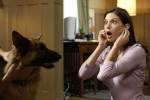 Desperate Housewives Susan Mayer : personnage de la srie 