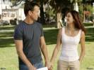 Wallpapers - Desperate Housewives