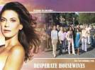 Wallpapers - Desperate Housewives