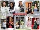 Wallpapers - Desperate Housewives