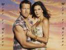 Wallpapers - Desperate Housewives