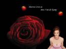 Wallpapers - Desperate Housewives