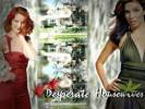 Wallpapers - Desperate Housewives