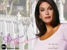 Wallpapers - Desperate Housewives