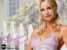 Wallpapers - Desperate Housewives