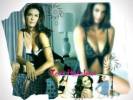 Wallpapers - Desperate Housewives