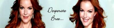 Logo du Haut - Desperate Housewives